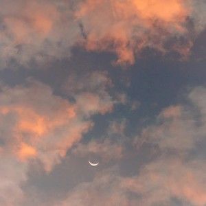 Meet your Posher, Carter